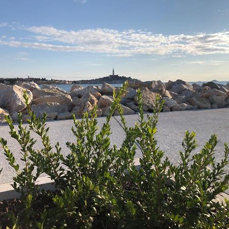 Total Escape Mobile Home Nera Camp Porton Biondi Rovinj Exterior foto