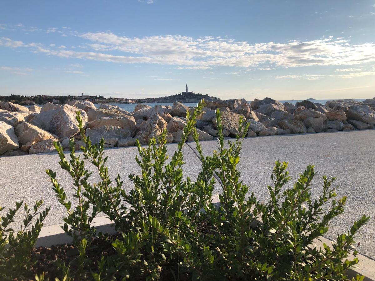 Total Escape Mobile Home Nera Camp Porton Biondi Rovinj Exterior foto